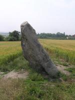 Tip na výlet - Menhir u Drahomyšle
