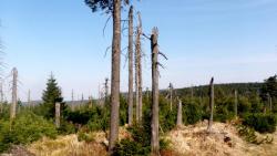 Tip na výlet - S Argonauty Orlickými horami Pěticestí - Šerlich