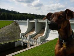 Tip na výlet - Vodní nádrž Lipno